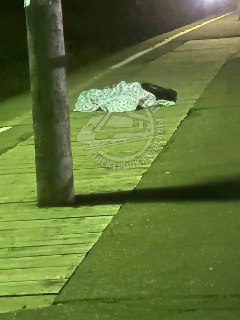 Трагедия на Рижском направлении: человек погиб на поезде