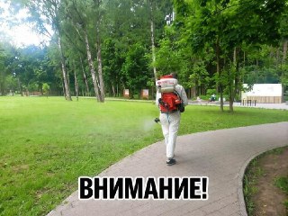 Обработка парков от клещей: расписание и меры безопасности