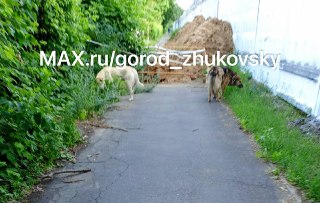 Когда завершится ремонт тротуара на улице Чкалова?