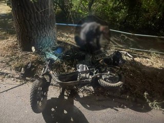 Трагедия на Горбуновке: Велосипедист погиб в столкновении с деревом
