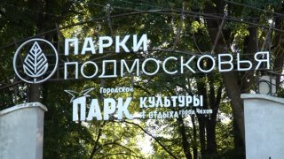 Незабываемая Ночь в Парке: Фестиваль в Чехове Удивил Гостей