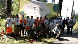 Ивантеевка: Участники акции «Чистый лес» очистили лесополосу
