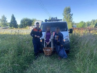 Спасатели Подмосковья вывели шесть женщин из леса за один день