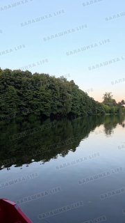 Подростки Поджигают Деревья в Парке: Опасная Ситуация