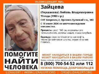 Помогите найти пропавшую: нужны видео с регистраторов