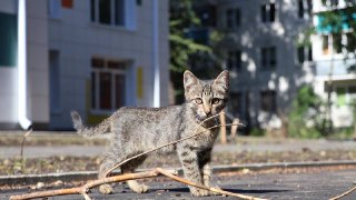 Последний Жаркий День: Похолодание и Дожди Впереди
