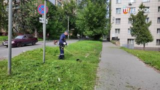 Специалисты по озеленению устраняют препятствия в городе