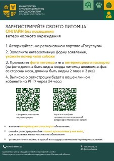 Как легко зарегистрировать питомца онлайн: пошаговая инструкция