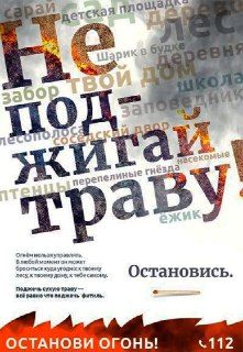 Опасный пал травы: штрафы и последствия для природы