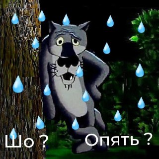 Дождливая неделя в Подмосковье: осадки и грозы