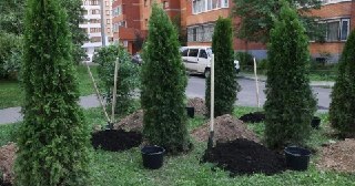Новая зелёная зона: благоустройство двора на Юбилейном проспекте