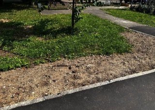 Проблемы после ремонта пешеходных зон на Жуковском проезде