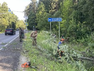 В Наро-Фоминском районе убрали 12 аварийных деревьев на дороге