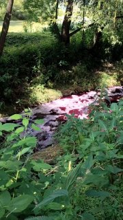 Загрязнение водоемов в Меткино: последствия атаки БПЛА