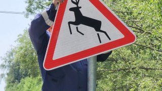 В Подмосковье отремонтированы дорожные знаки на 17 трассах