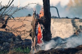 Пожароопасность в Дзержинске: Будьте осторожны с огнем!
