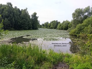 Состояние реки Липка в Поздняково вызывает беспокойство