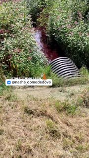 Ситуация с загрязнением реки в Меткино требует решения