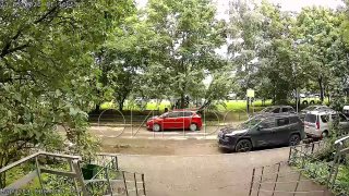 Неубранные собачьи отходы у подъезда: жильцы недовольны