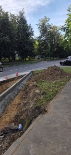 Вырубка деревьев для модернизации автобусных остановок: подробности