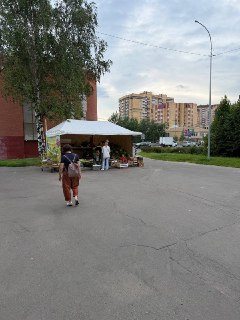 Палатки в городе: Новые реалии или ухудшение облика?