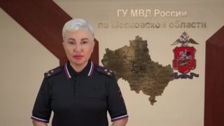 В Щёлково раскрыто мошенничество с арендой автомобилей на 39 млн рублей