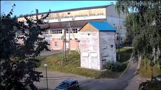 Две Бойцовые Собаки Напали на Людей и Животных в Павловском