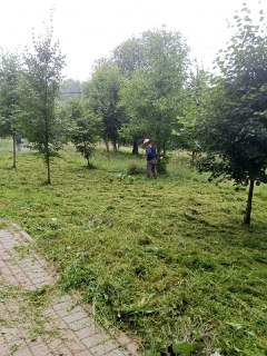Летние Работы в Чехове: Уборка, Ремонт и Благоустройство
