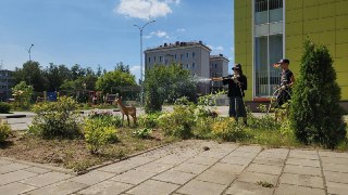 Летняя Трудовая Смена: Школьники Улучшают Округ Лосино-Петровский
