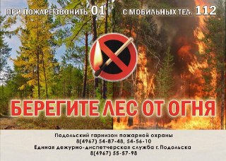Ограничения на посещение лесов в Подольске из-за пожароопасности