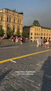 Житель Москвы получил 5 суток за прогулку с козой на Красной площади