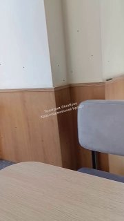 Посетители Додо Пиццы на Комсомольской жалуются на мухи