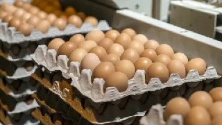 Цены на продукты в России: яйца и овощи стали дешевле!