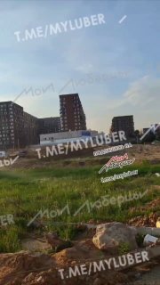 В Подмосковье вновь выявлена свалка: что известно?