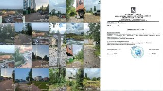 Стая бездомных собак на стройке: ответ администрации Краснознаменска
