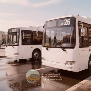Участвуйте в Опросе по Изменению Маршрутов в Лосино-Петровском