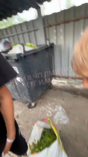 Спасите новорождённых котят от жестокого обращения!