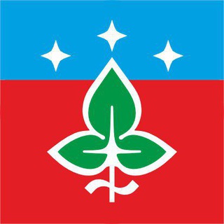 Wildberries: Логистический Комплекс Работает Нормально После Инцидента