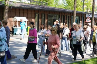 Приглашение на Скандинавскую Ходьбу для Пожилых Людей