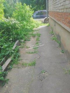 Почему у соседей асфальт, а у жителей Гагарина 5 только трава?