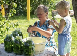 Дача как символ детства: россияне выбирают отдых за городом