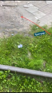 Проблемы с вывозом спиленных деревьев и тротуарами в городе