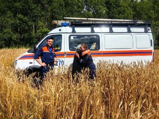 Спасатели успешно нашли заблудшую грибницу под Дмитровом
