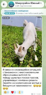 Домодедово Переходит на Экологические Газонокосилки