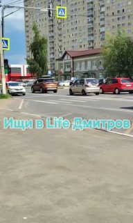 Очаровательный момент: утка с утятами пересекает дорогу