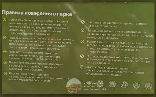 Правила катания на самокатах в Свердловском парке: что важно знать