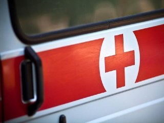 Собака породы Акита-ину напала на 7-летнего мальчика в Подмосковье