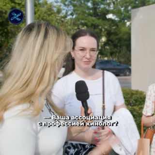 Как Кинологи Аэропорта Обеспечивают Безопасность Пассажиров