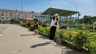 Летняя трудовая программа: школьники Лосино-Петровского на каникулах