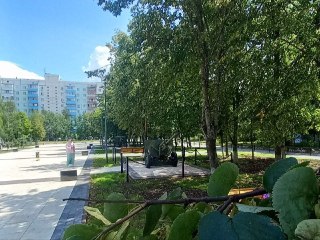 Погода в Краснознаменске: Небо без облаков и комфортные температуры